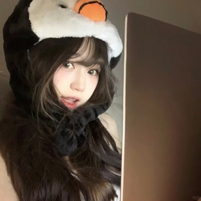 小鼠朋友